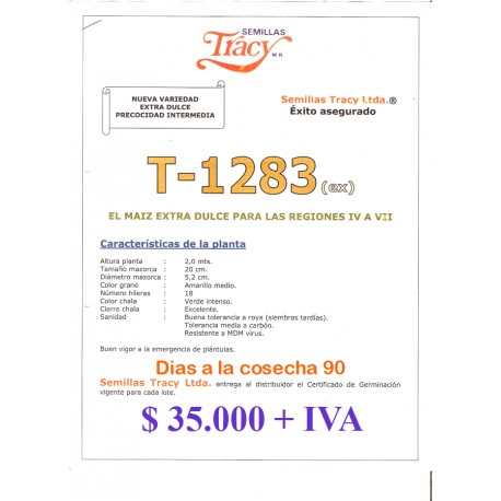 Maíz Choclero Extra Dulce coseche en 90 dias , listo en su mesa