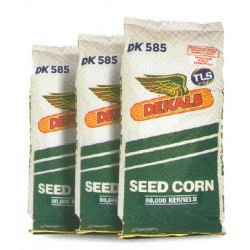 Maiz De Kalb DK 585 (Grano Seco)