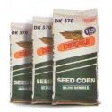 Maiz De Kalb DK 570 (Grano Seco y Humedo )