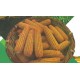 Maiz de Cis Yacare ( Grano Seco y Humedo)
