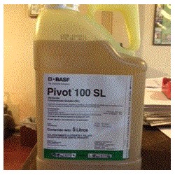 PIVOT 100 SL