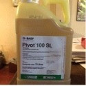 PIVOT 100 SL