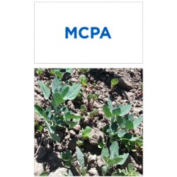 MCPA 750 SL