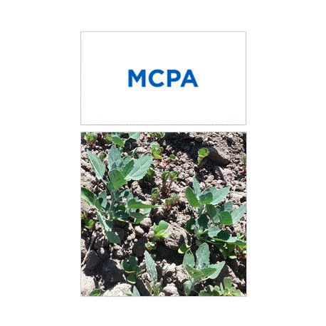 MCPA 750 SL