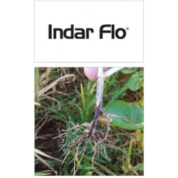 Indar Flo 30 FS
