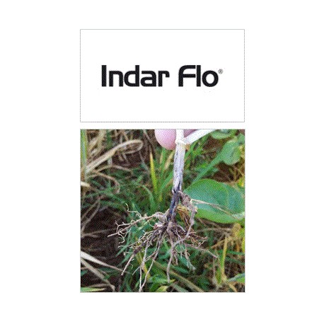 Indar Flo 30 FS