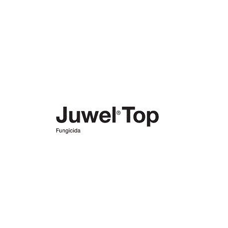 JUWEL TOP