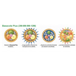 Basacote® Plus 3M, 6M, 9M