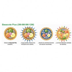 Basacote® Plus 3M, 6M, 9M